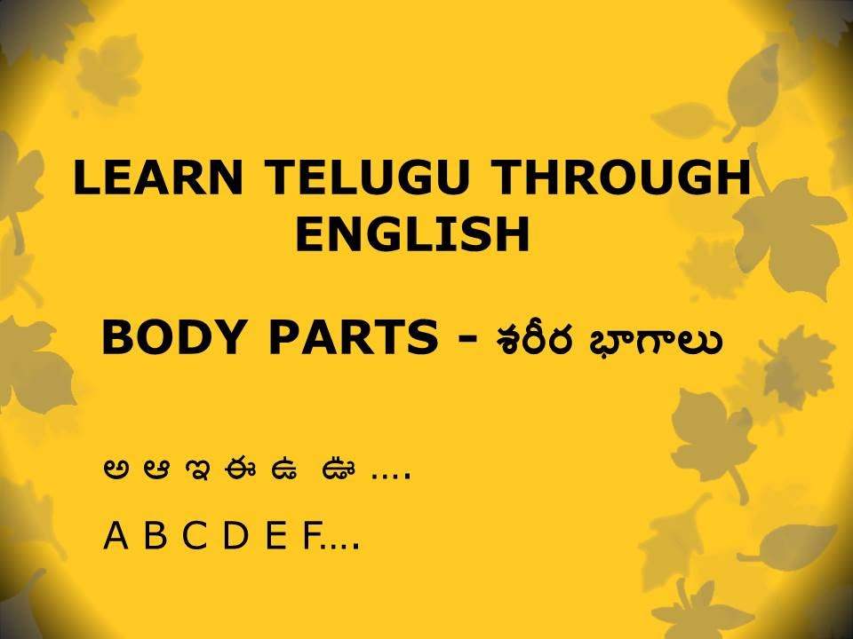 Female Body Parts Names In Telugu Body Parts Lets Learn Telugu Loves Female Body Parts Names In Telugu Body Parts Lets Learn Telugu Loves