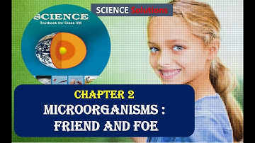 Microorganisms Friend and Foe CLASS 8 SCIENCE NCERT SOLUTIONS CHAPTER 2