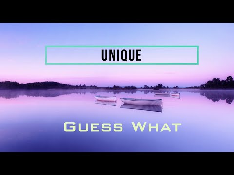 Lyflyn | Guess What | Unique Python 🎇🎇