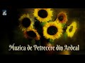 Muzica de Petrecere din Ardeal - compilatie