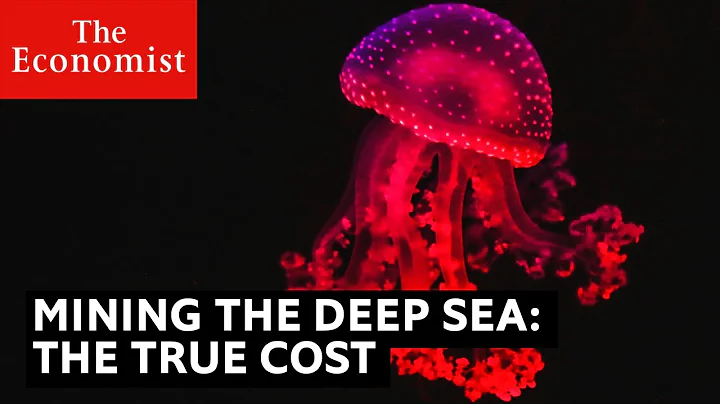 Mining the deep sea: the true cost to the planet - DayDayNews