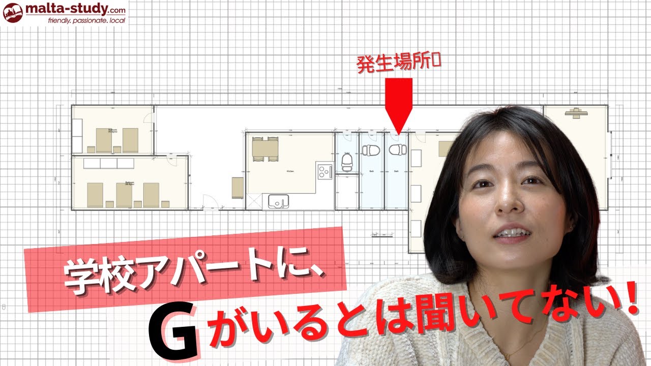学校アパートにG🪳が毎日出現する..../マルタ留学エージェントが自身のマルタ留学を率直に自己採点するアパートメント編