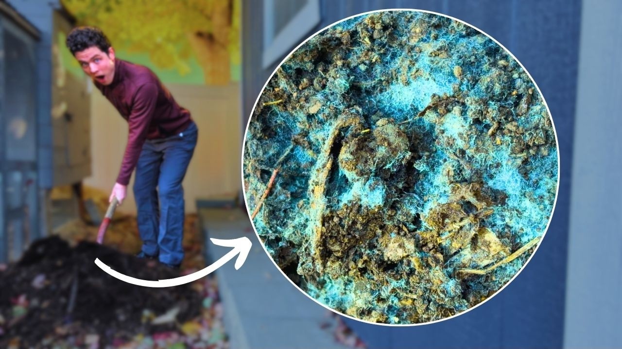 How to Use Indigenous Microorganisms in your Garden (IMO3-5)