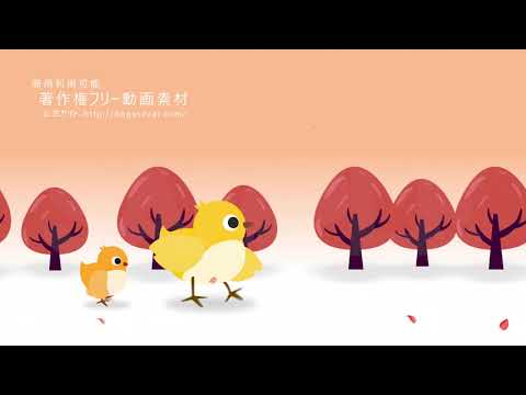 著作権フリー動画素材／商用利用可！／小鳥歩く_秋1（ループ）