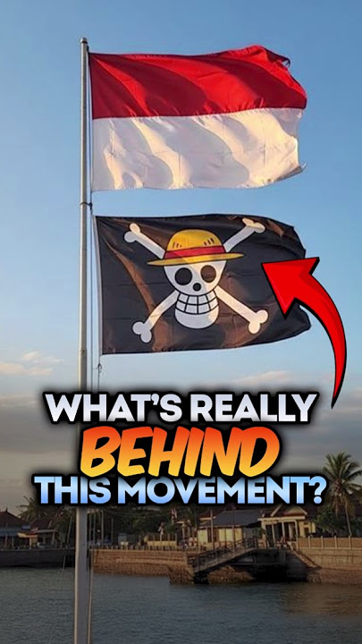 One Piece flag becomes a protest symbol across Indonesia #onepiece