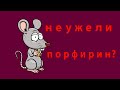 Крысы заболели? Крысы разбили себе нос?