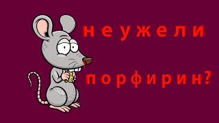 Крысы заболели? Крысы разбили себе нос?