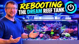 Rebooting The Dream Reef Tank - Progress! screenshot 2