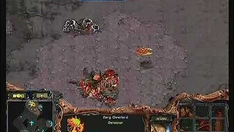 SPL 08-09  SoO vs Jaedong 2008-11-15  @ Neo Requiem