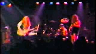 Govt Mule - Mother Earth