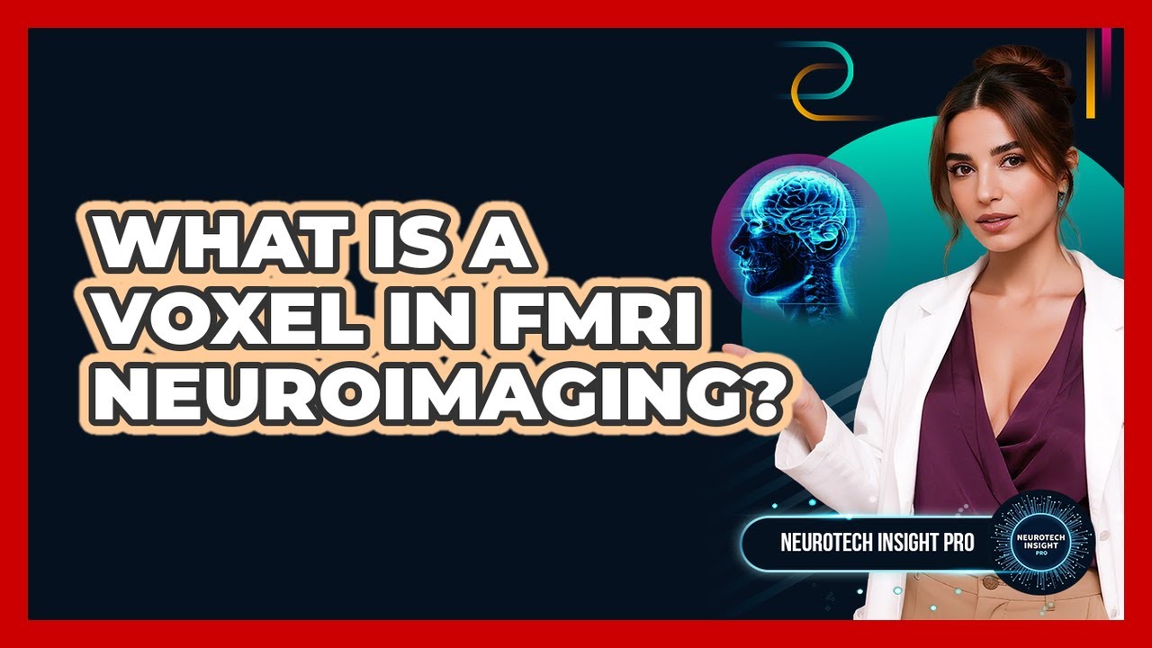 What Is A Voxel In fMRI Neuroimaging? - Neurotech Insight Pro