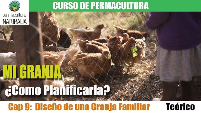 Utilización de material en desuso de la granja vecina para construir la malla  conejera.