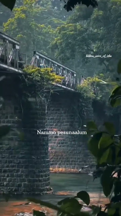 namma pesunaalum pesalanaalum na en manasula unaku kudutha idam epovume apdiye dha irukum...😊#love