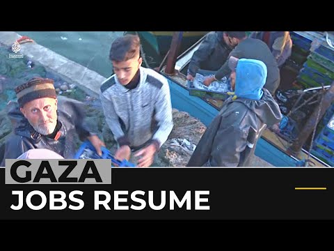 Gaza economy: Industries start up again after airstrikes