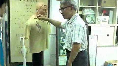 八步螳螂拳(8-Step Praying Mantis) 拍按應用集錦