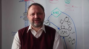 MSBase: An International Multiple Sclerosis Database