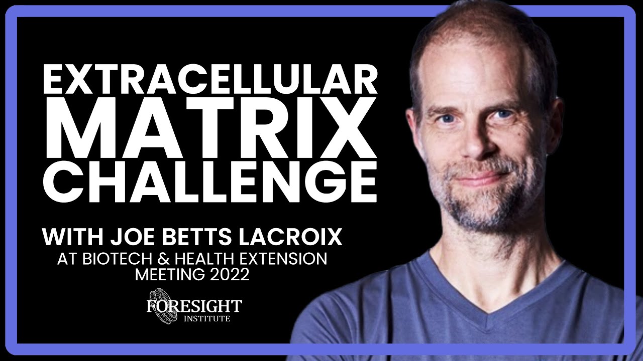 Joe Betts Lacroix | Extracellular Matrix - Challenge