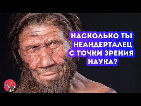 Насколько ты НЕАНДЕРТАЛЕЦ