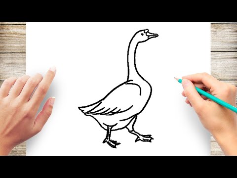 Video: How To Draw A Goose With A Pencil