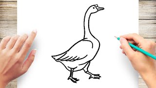 How To Draw Goose Step by Step