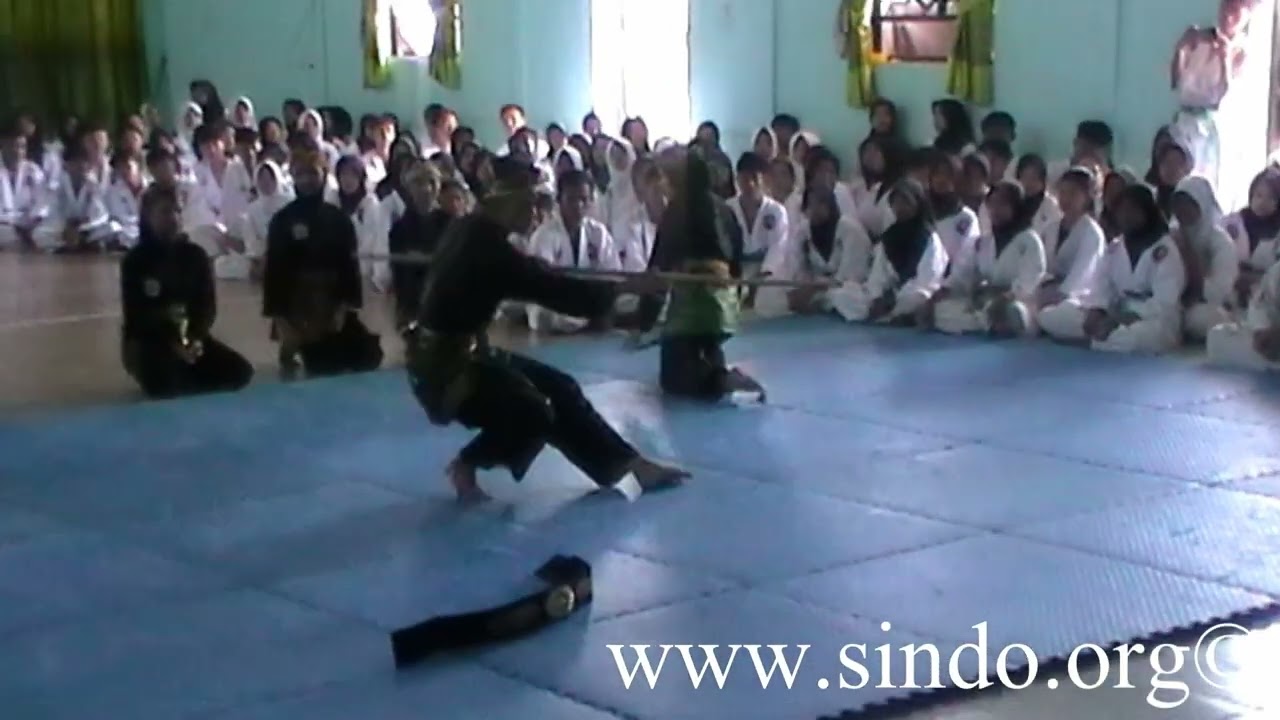 SINDO Traditional Martial Art Demo