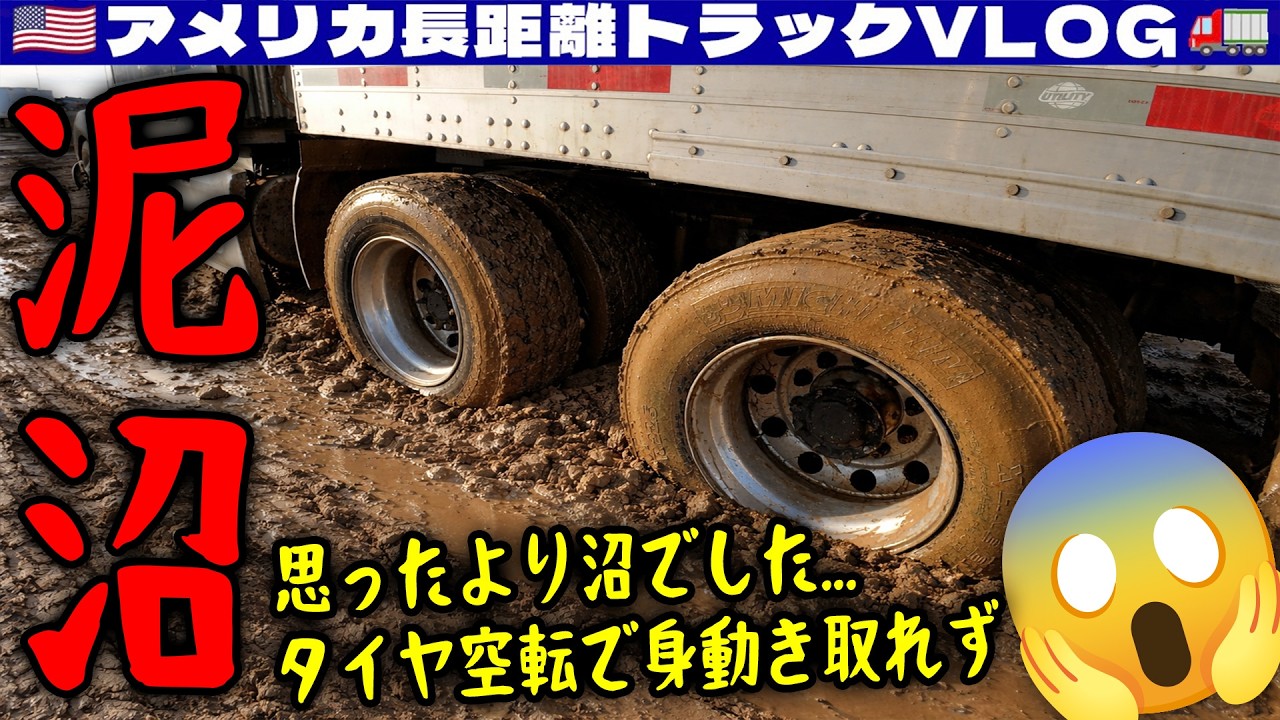 トラックター如何ですか Deco-tora] A stunning 16-wheel trailer in a majola color scheme! A