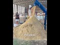 你知道过期食品零食会怎么处理吗?#科普 #知识渊博 #百科密码