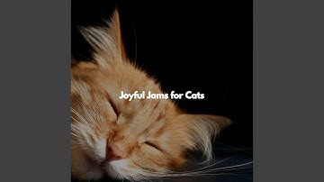 Alluring Moods for Co-Working Space