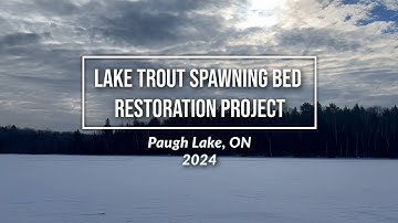 Lake Trout Spawning Bed Restoration - Paugh Lake, Ontario