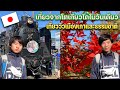 【เที่ยวญี่ปุ่น/日本観光】การเที่ยวใน1วัน ที่มีแค่คนญี่ปุ่นเท่านั้นที่จะรู้/東京から日帰りで行ける、古く自然がたっぷりの旅
