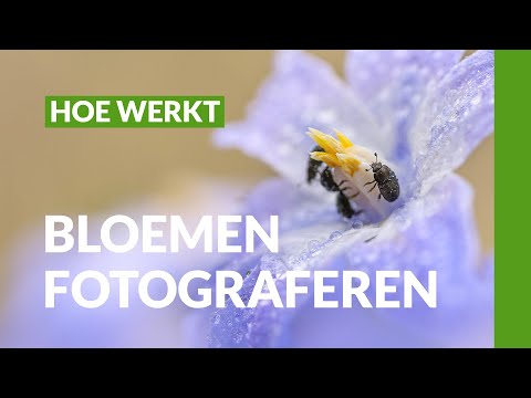 Video: 6 Boeken Om Uw Fotografie Te Verbeteren - Matador Network