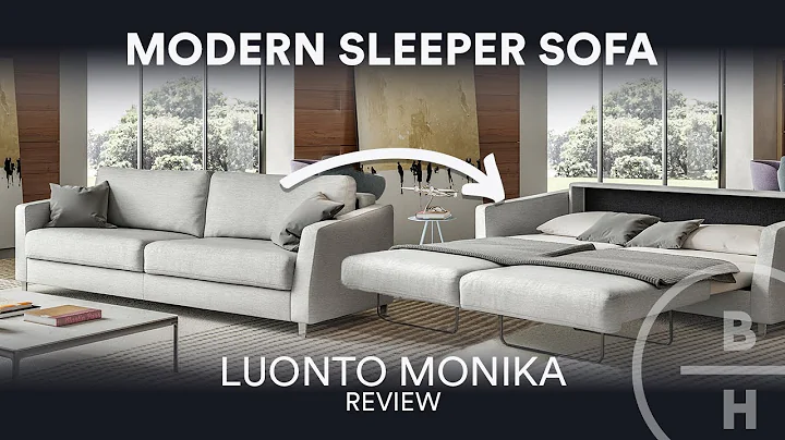 Modern Sleeper Sofa | Luonto Monika Review - DayDayNews