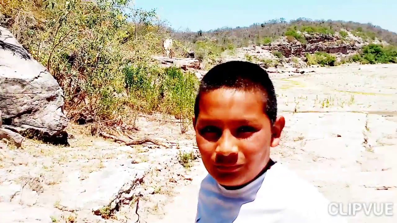 El nico машина