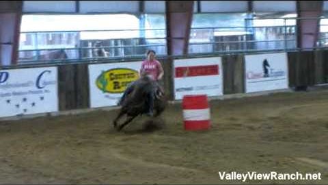 Mates Rock Star - Moe  ***For info, price, etc., go to our website***    Valley View Ranch