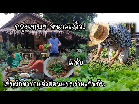 วีดีโอ: สวนผักตลอดปี : ทางเลือกเมือง