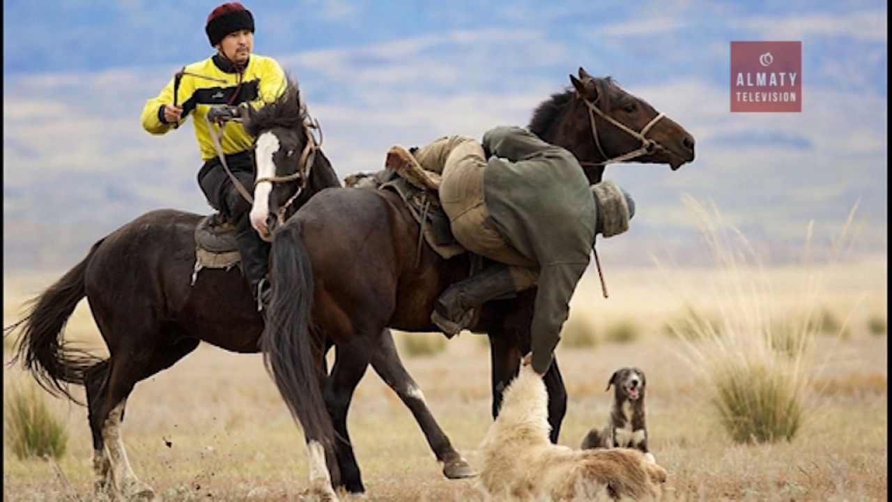Чему завидовали все наездники и не. Джигит казах на коне. Лошадь в Казахстане наездник. Казахский джигит на коне. Игры на лошадях в Казахстане.