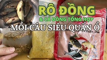 MỒI CÂU CÁ RÔ ĐỒNG SIÊU QUẤN Ổ  - RÔ ĐẦU VUÔNG , VÀ CÁC LOẠI CÁ ĐỒNG TỔNG HỢP