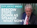 Bercow Officially Steps Down as Speaker - TLDR News