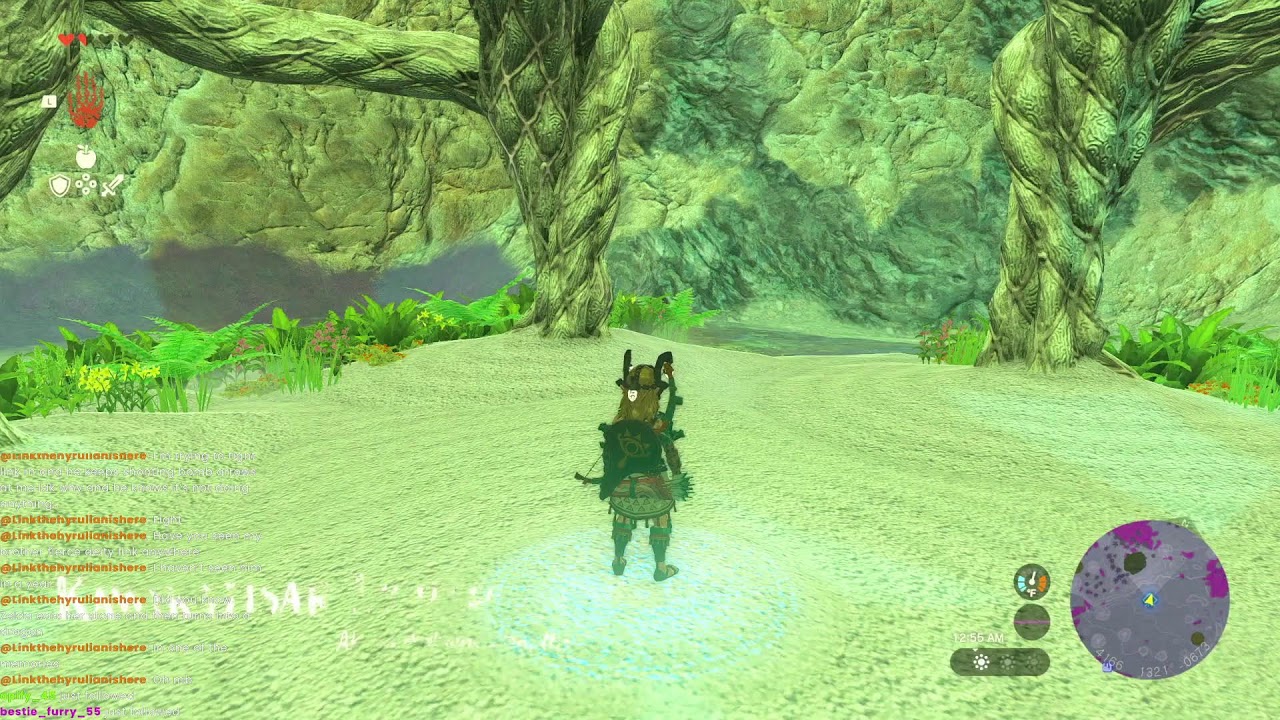 Switch 2|the legend of Zelda: Tears of the Kingdom|