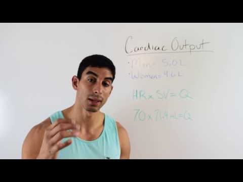 Understanding and Calculating Cardiac Output: ACSM Certified Personal Trainer Exam Prep