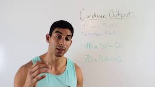 Understanding And Calculating Cardiac Output Acsm Certified Personal Trainer Exam Prep