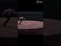 horses be like #funny