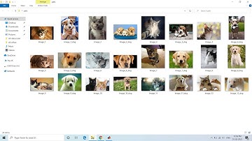 Color Image Segregation using ResNet-18 & K-Means Clustering