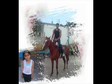 تعرف ايه انت عن الحب