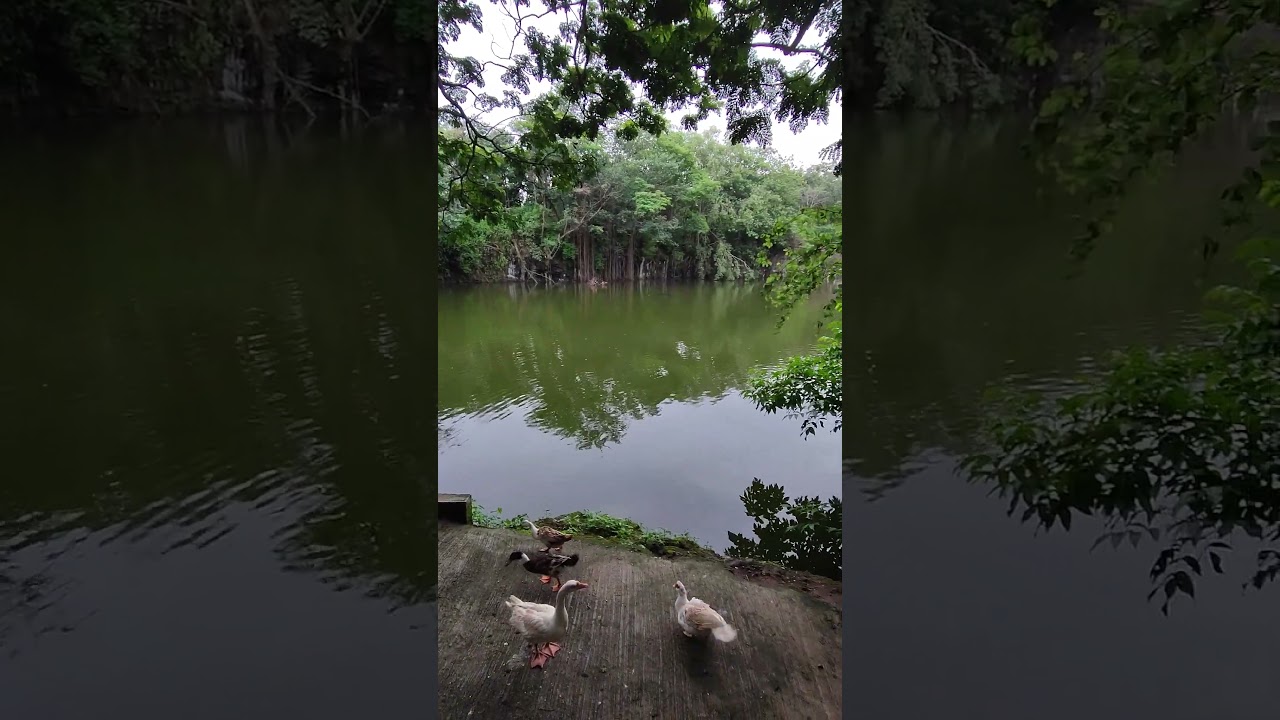 Durga Tekdi Akurdi Pune 01 july 25