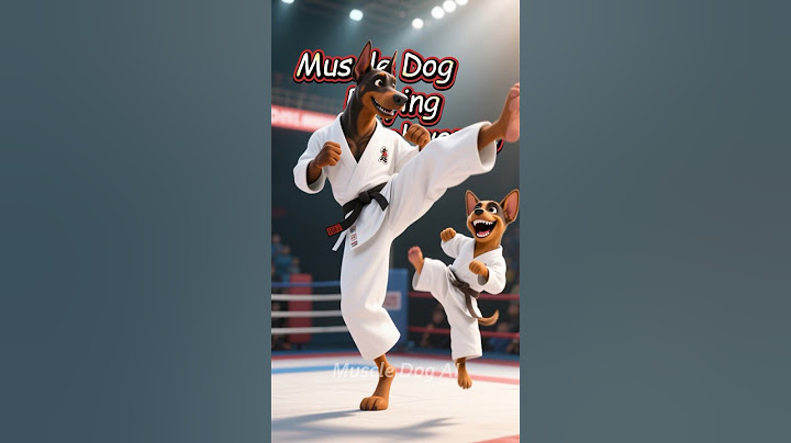 Cute puppy just wants to play taekwondo, but mum and dad... 🤣😱#dog #cute #puppy #doberman #aidog