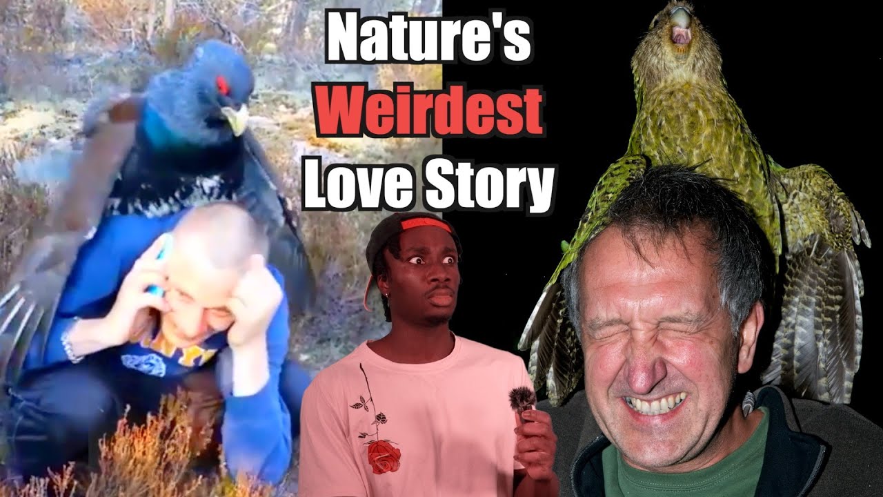 The Science Behind Why Birds Find Us Attractive