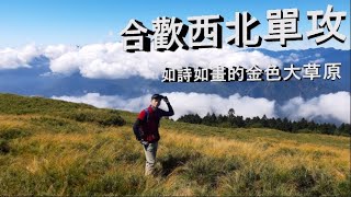 合歡西北單攻~如詩如畫的金色大草原 West and North peak of Hehuan Mountain one day trip