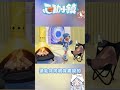 《心動小鎮》冰雪季來了~跟好友一同享受最棒的音樂會吧【天使Vtuber小雪Yukichan】#台灣Vtuber #Vtuber thumbnail
