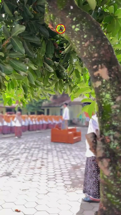 APEL HSN 2025 Qudsiyyah Putri #santriwati #santri #indonesia  #semangat #hsn2025 #pesantren